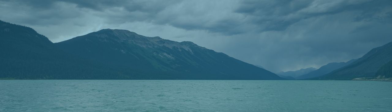 Select Image